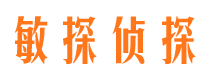 平阳市调查公司